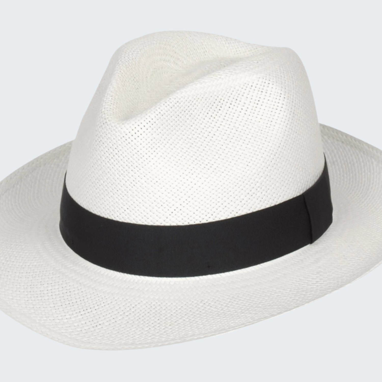 White fedora hat with a black band on a white background