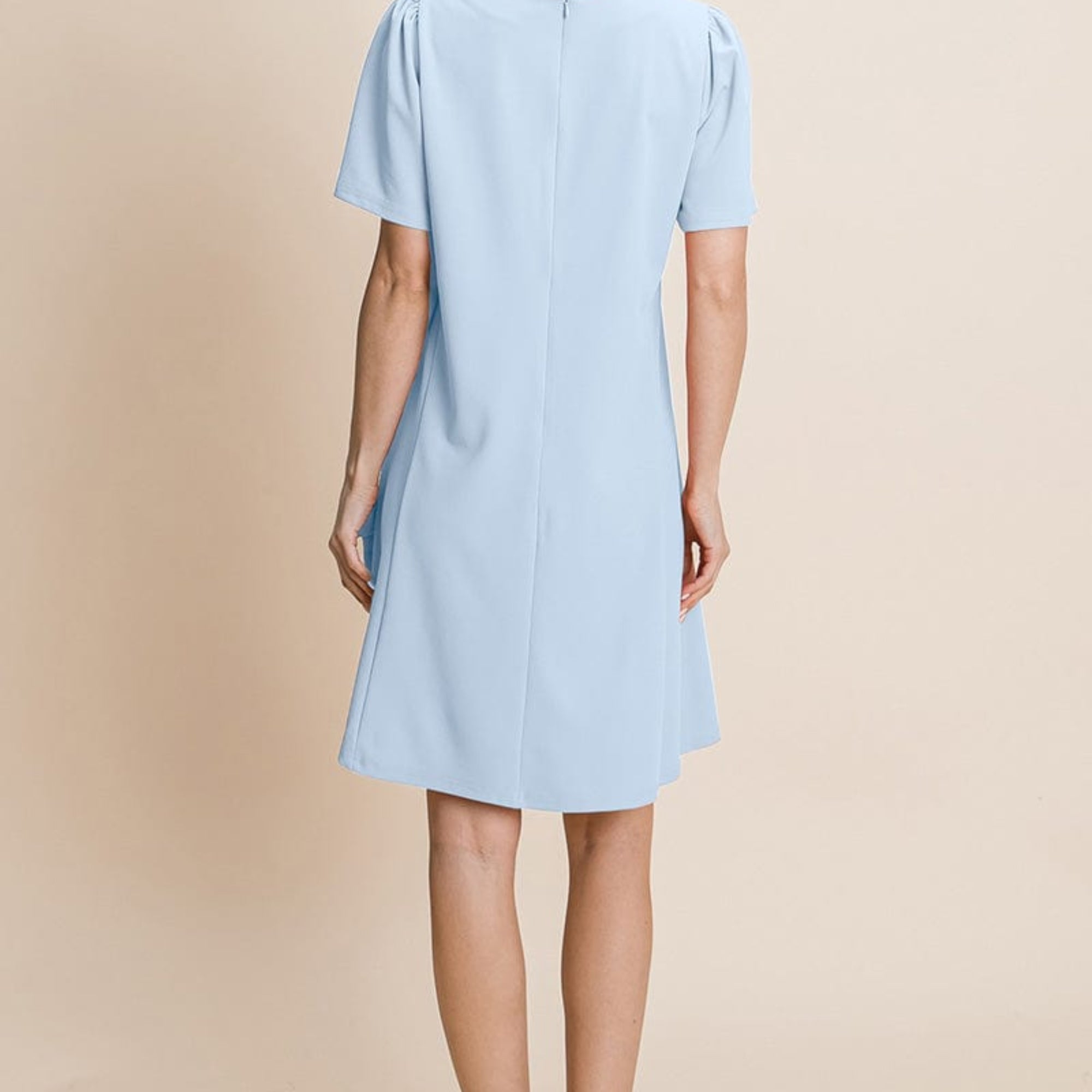 V-Neck Short Sleeve Shift Dress