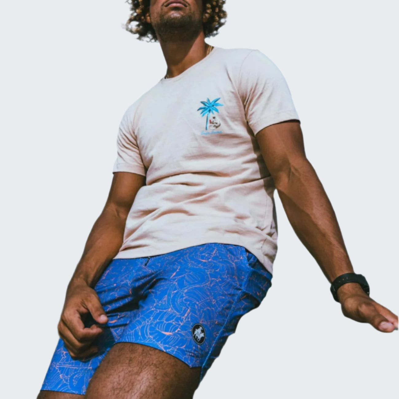 Fair Fight Blue Shipwrecks Boardshorts