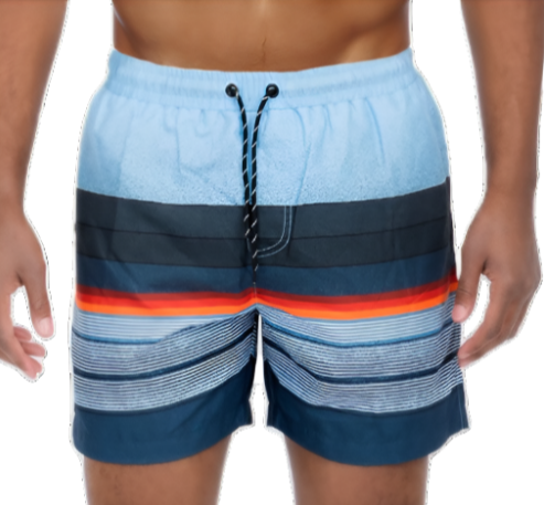 Blue Stripes Swim Shorts