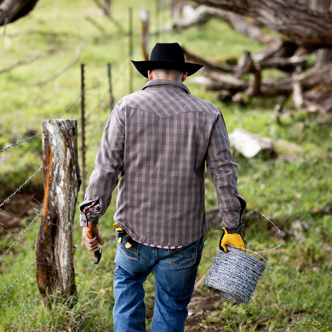 Man in cowboy hat and plaid shirt walking through a grassy field with tools.