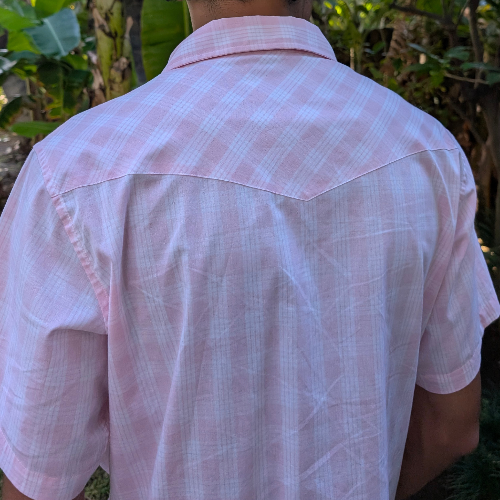 Person wearing a pink checkered shirt with a blurred natural background