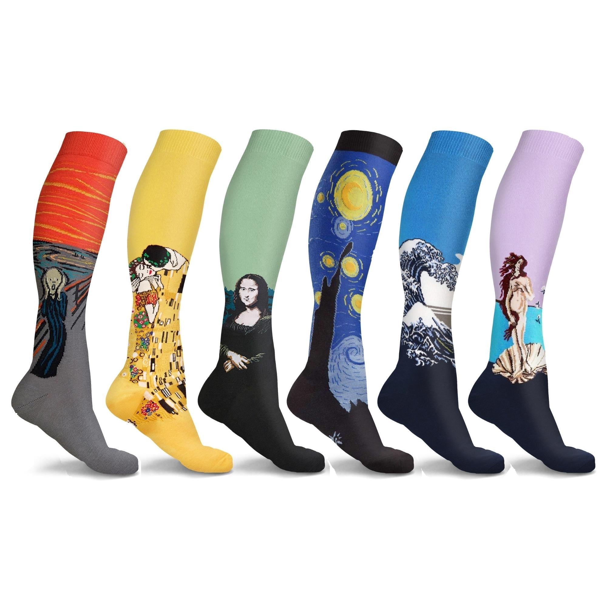 Famous Art Paintings Unisex Travel  Socks