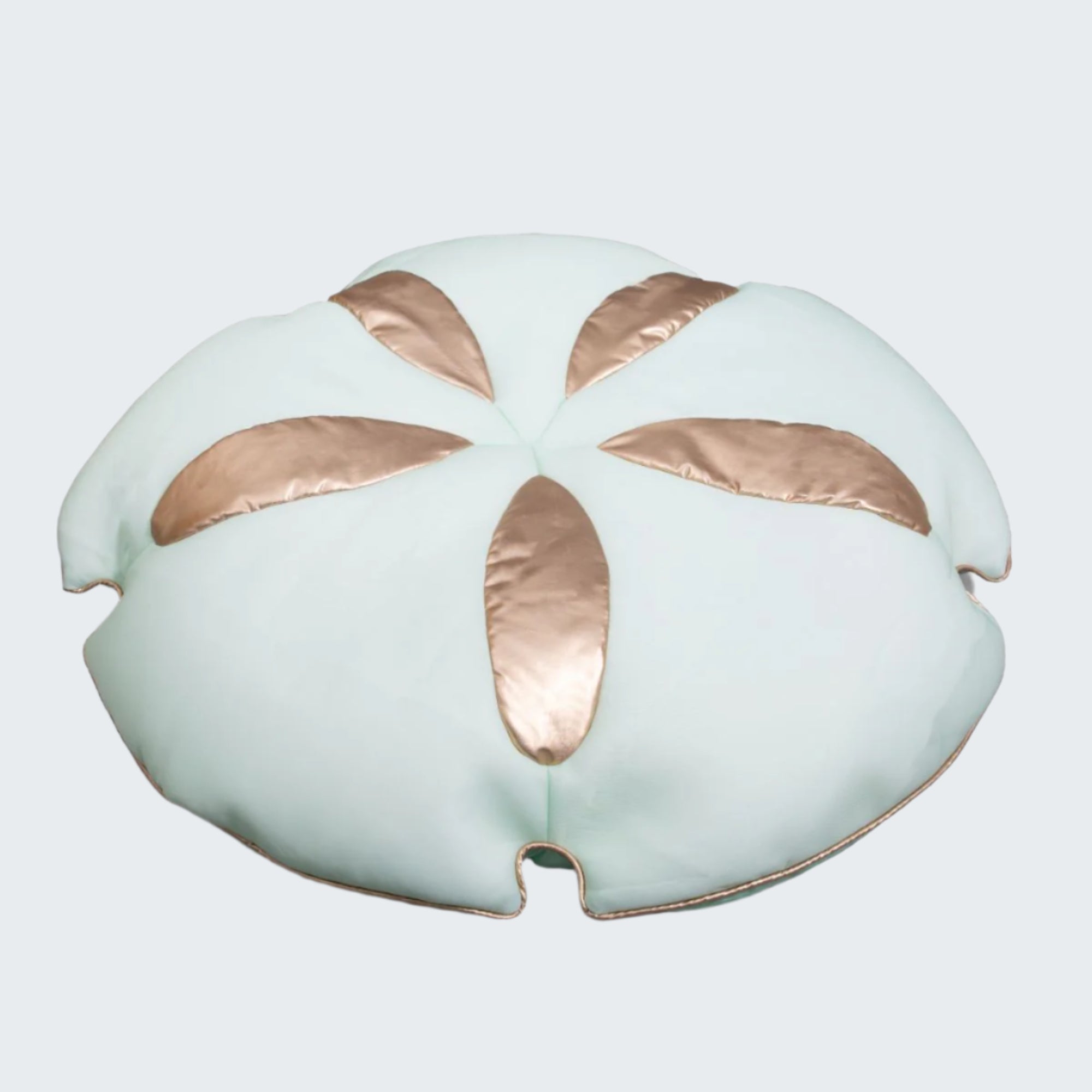 Big Joe Sand Dollar Float