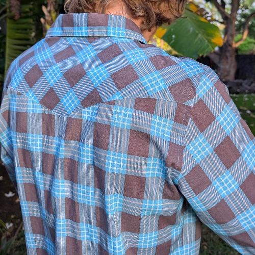 Person wearing a blue and brown plaid shirt with a blurred natural background