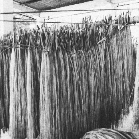 Long strands of yarn hanging on a rack in a textile factory.