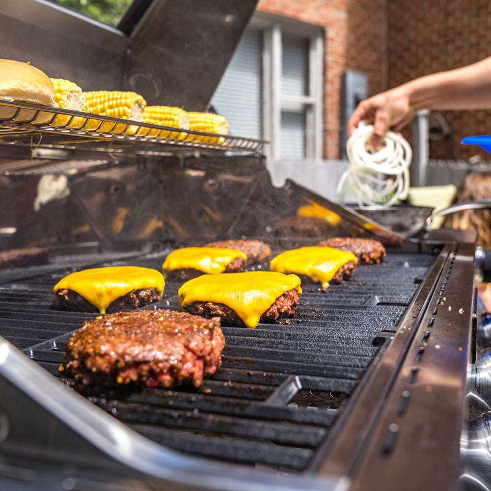 Monument Grill Stainless Natural/Propane Gas Grill