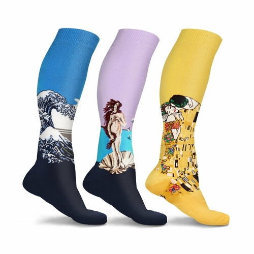 Famous Art Paintings Unisex Travel  Socks