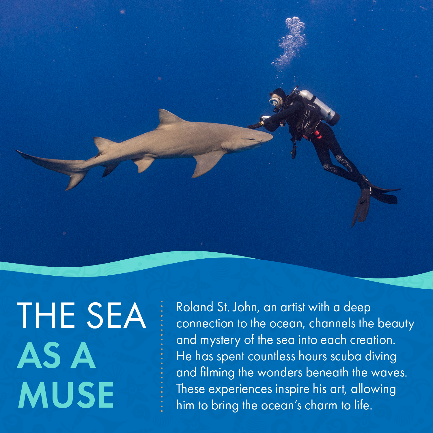 Diver interacting with a shark underwater with text about an artist's connection to the ocean.