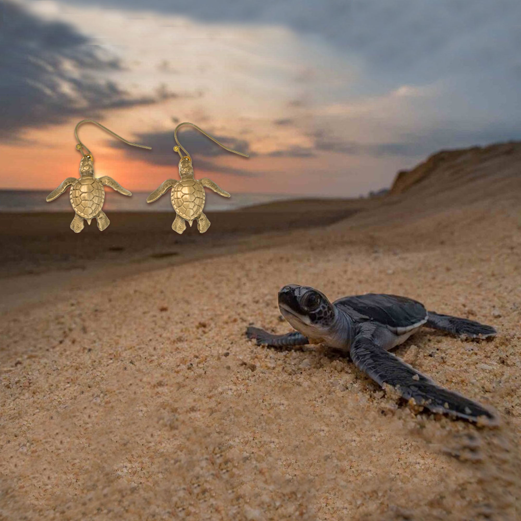 Bronze Baby Sea Turtle Drop Earrings