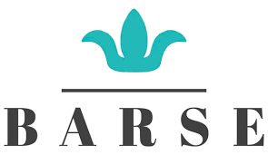 Logo of Barse with a stylized flower above the text on a white background