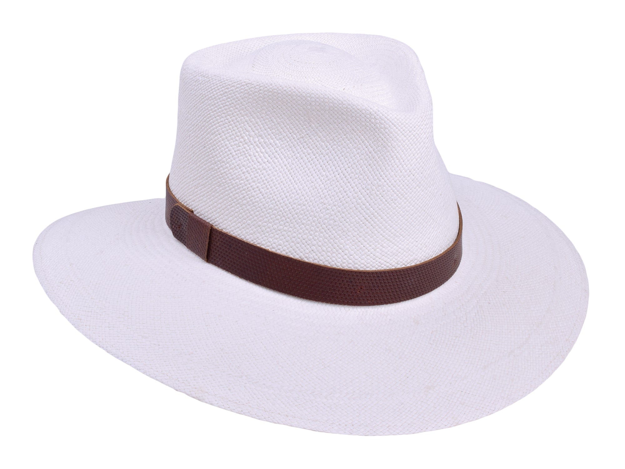 White fedora hat with a brown band on a white background