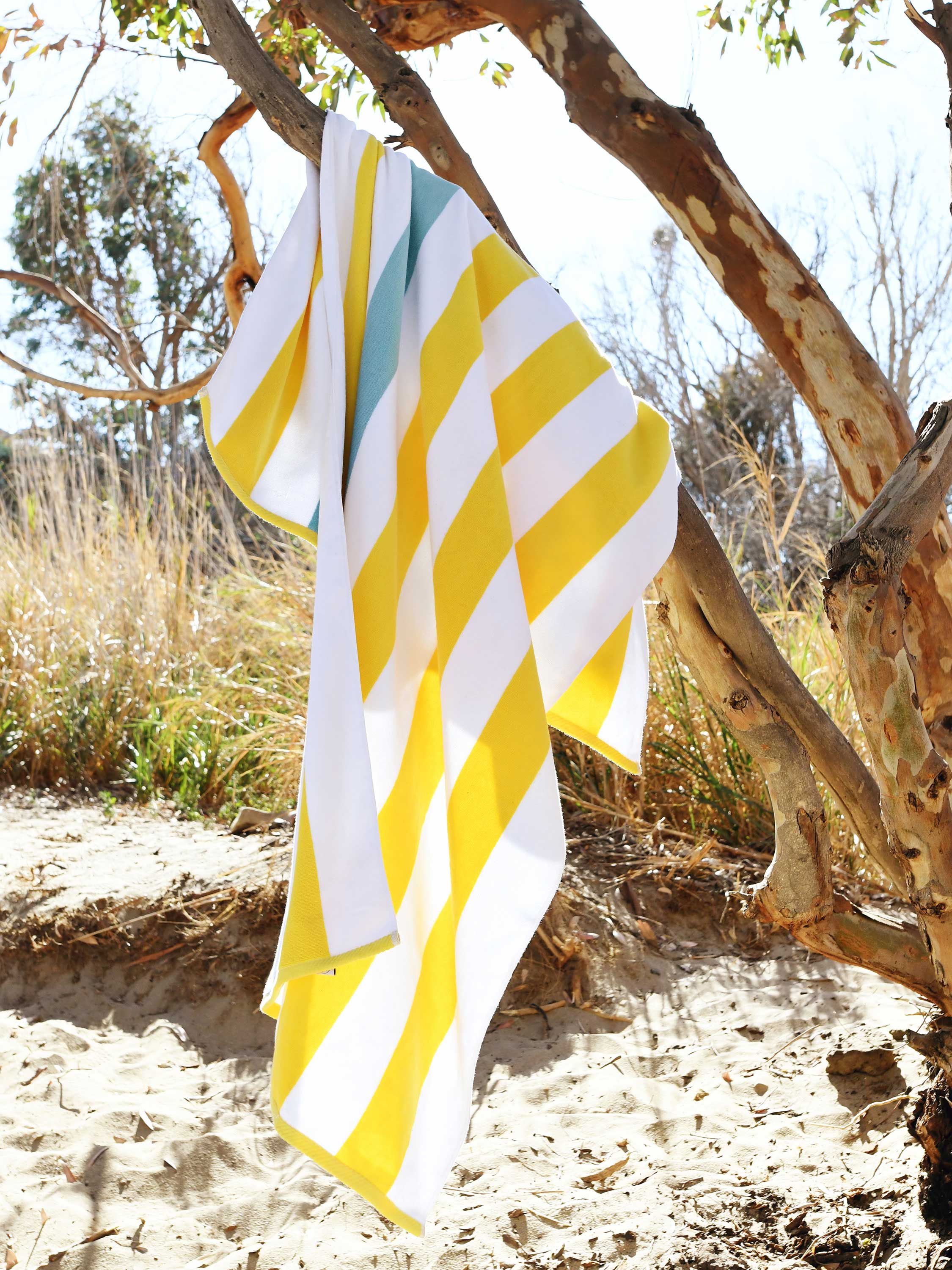 Yellow and white striped towel draped over a tree branch on a sandy beach.