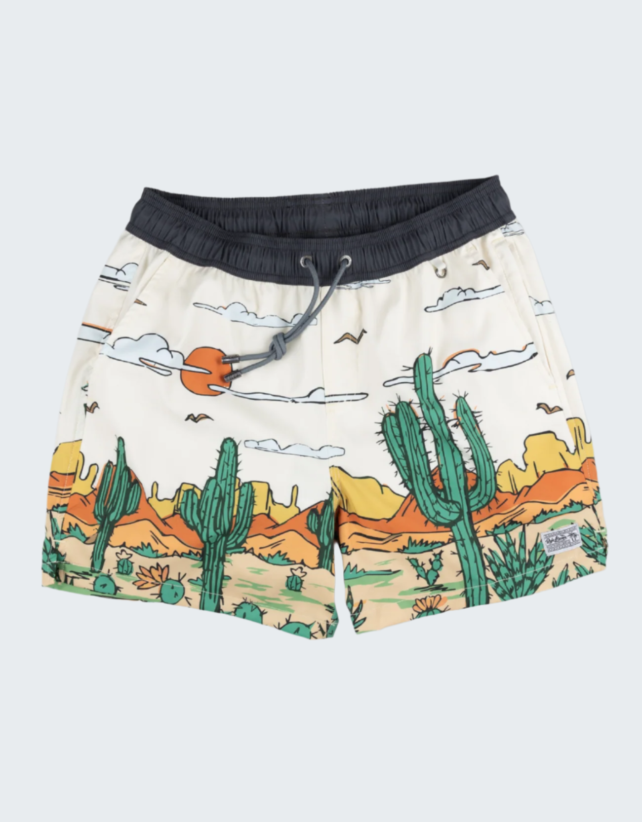 Swim shorts with desert landscape design on a white background