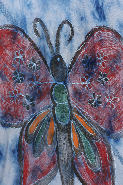 Colorful butterfly illustration on a blue and white background
