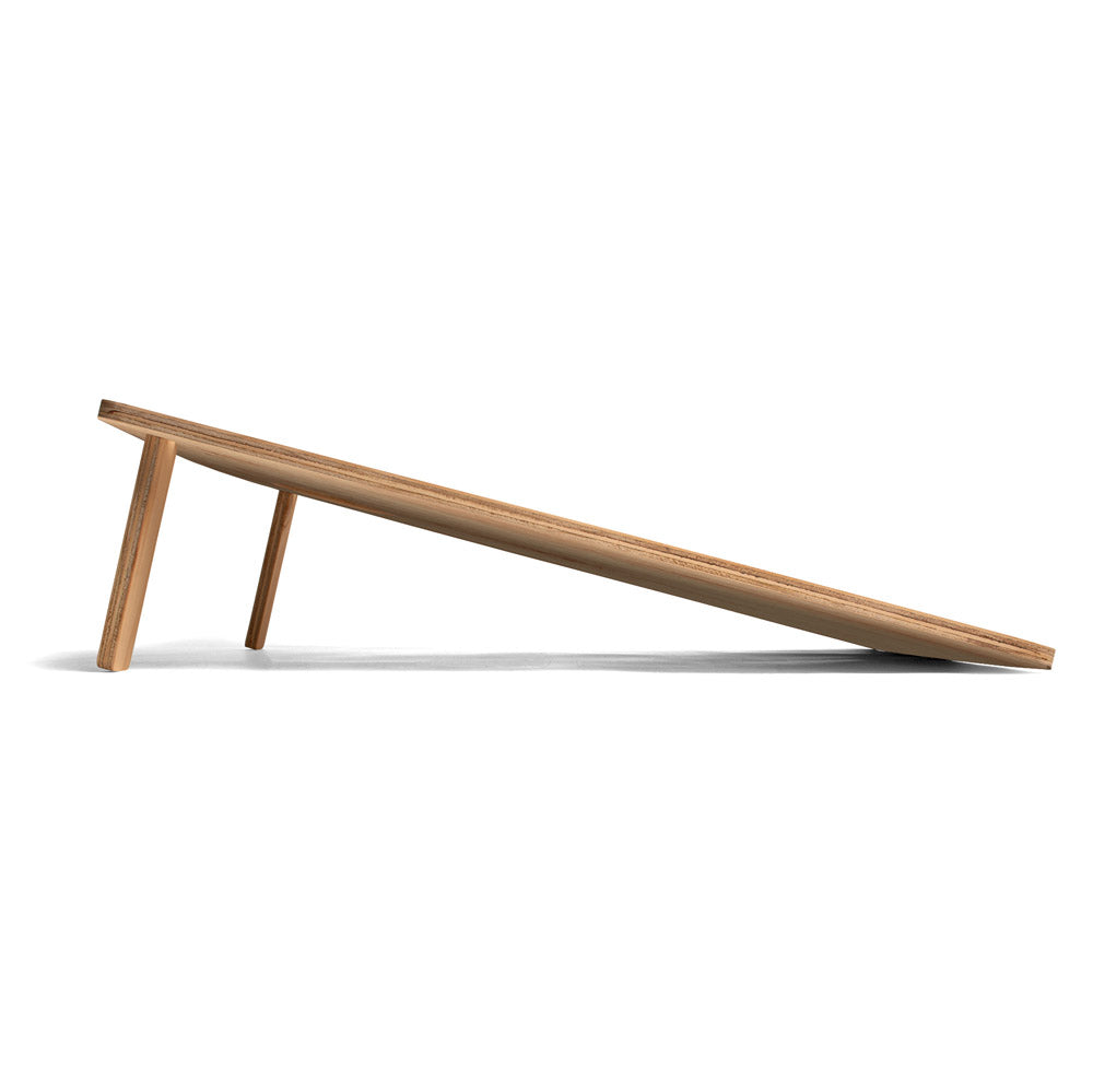 Wooden dog ramp on a white background