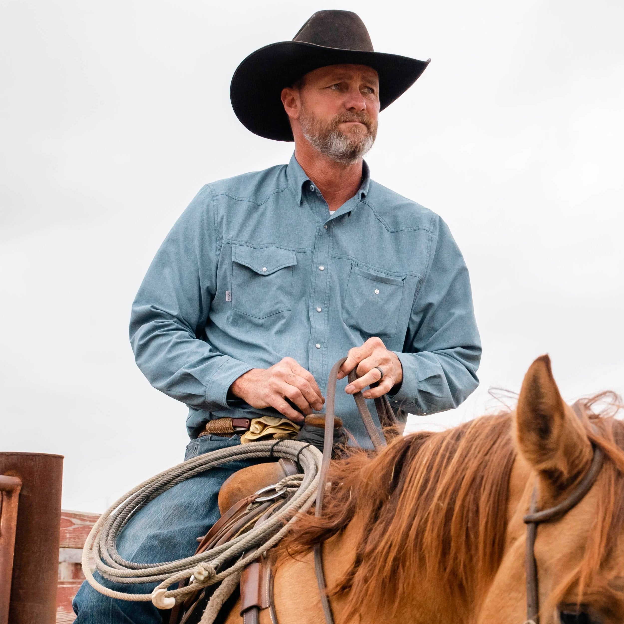 Man in cowboy hat and blue shirt sitting on a horse with a white background