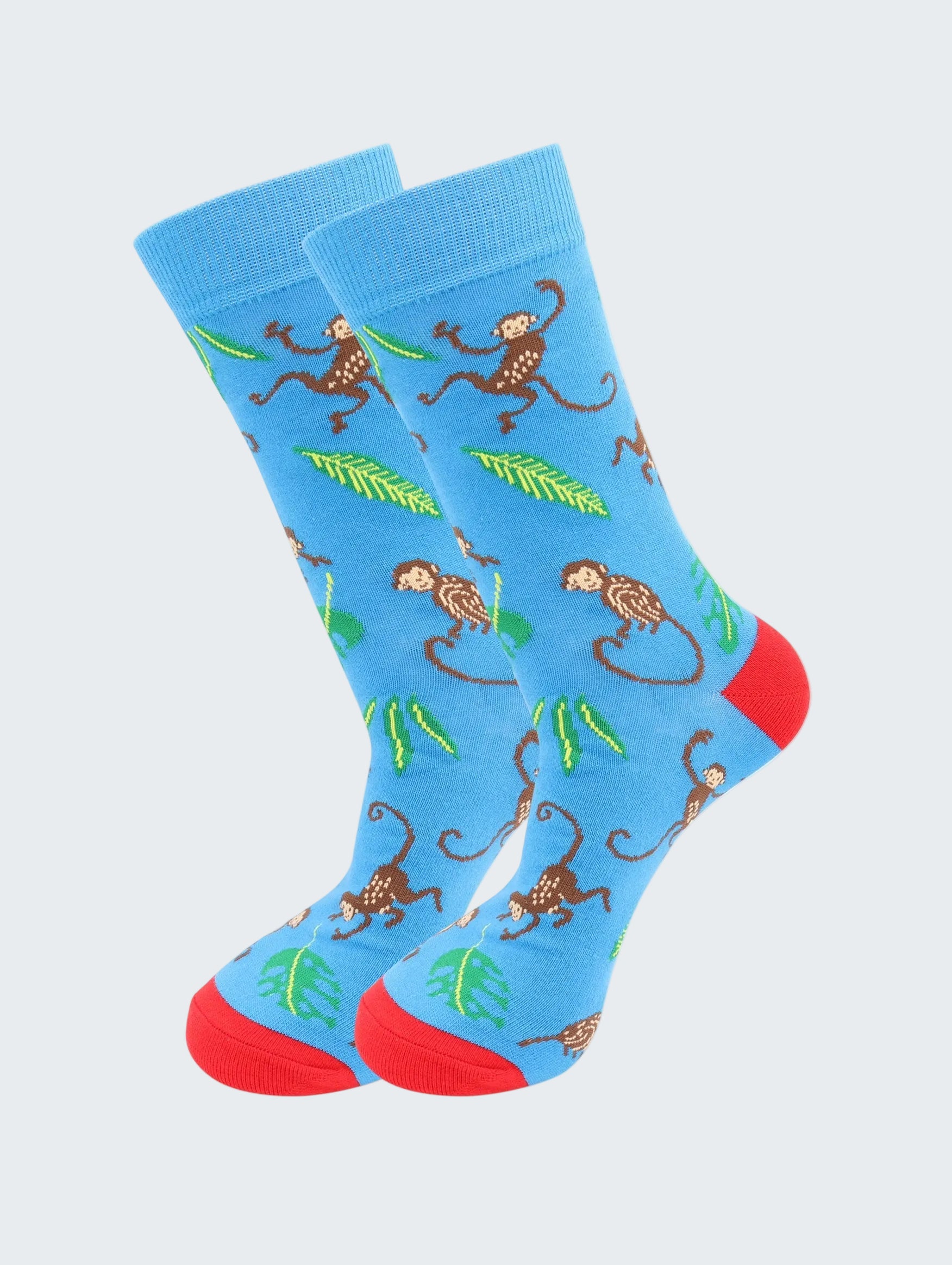 Blue socks with monkey pattern and red toes on a white background