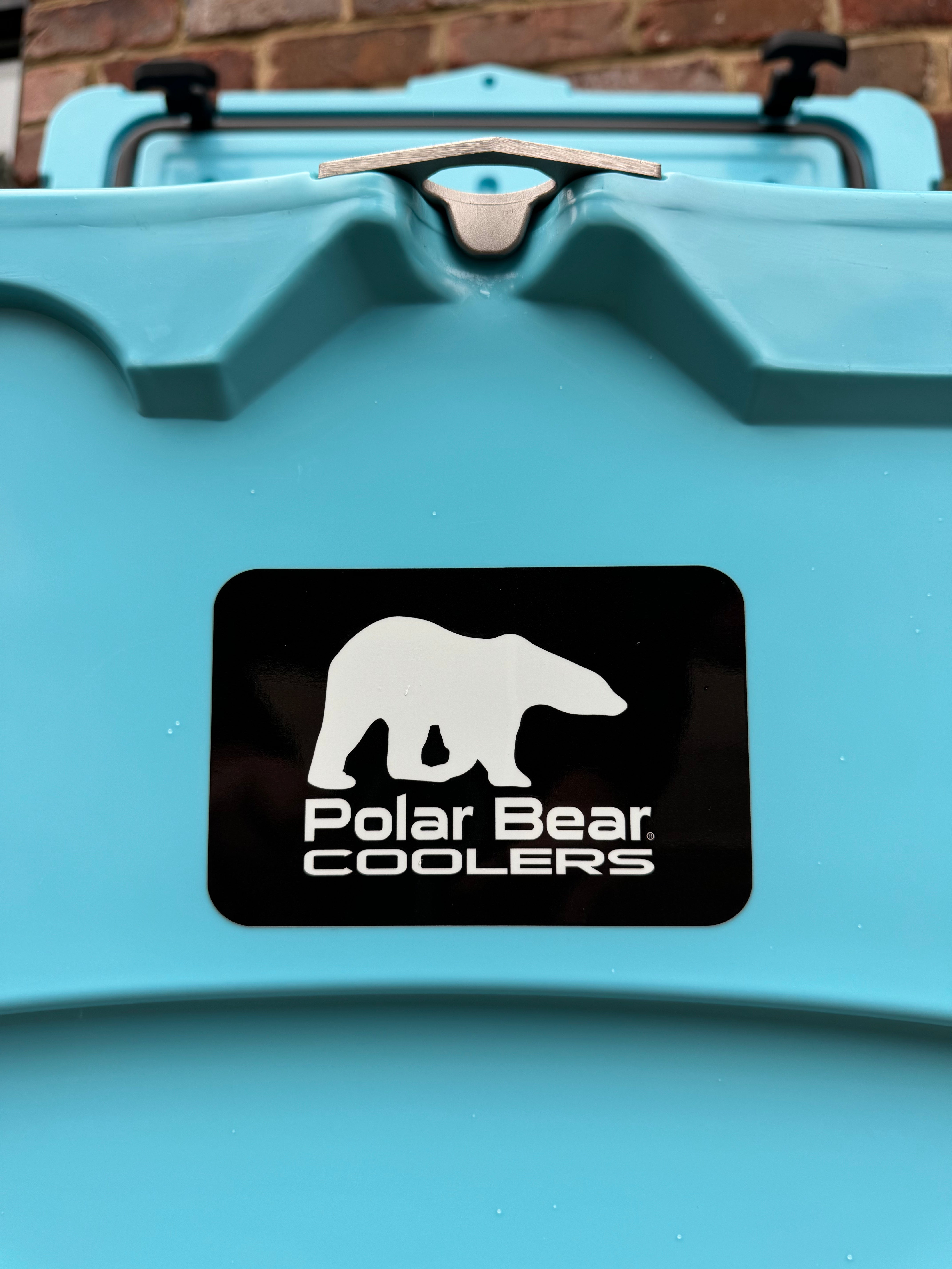 Teal cooler with Polar Bear Coolers logo on a brick wall background
