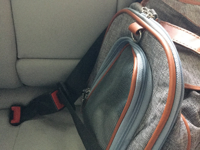 Gray pet carrier with a mesh front on a car seat