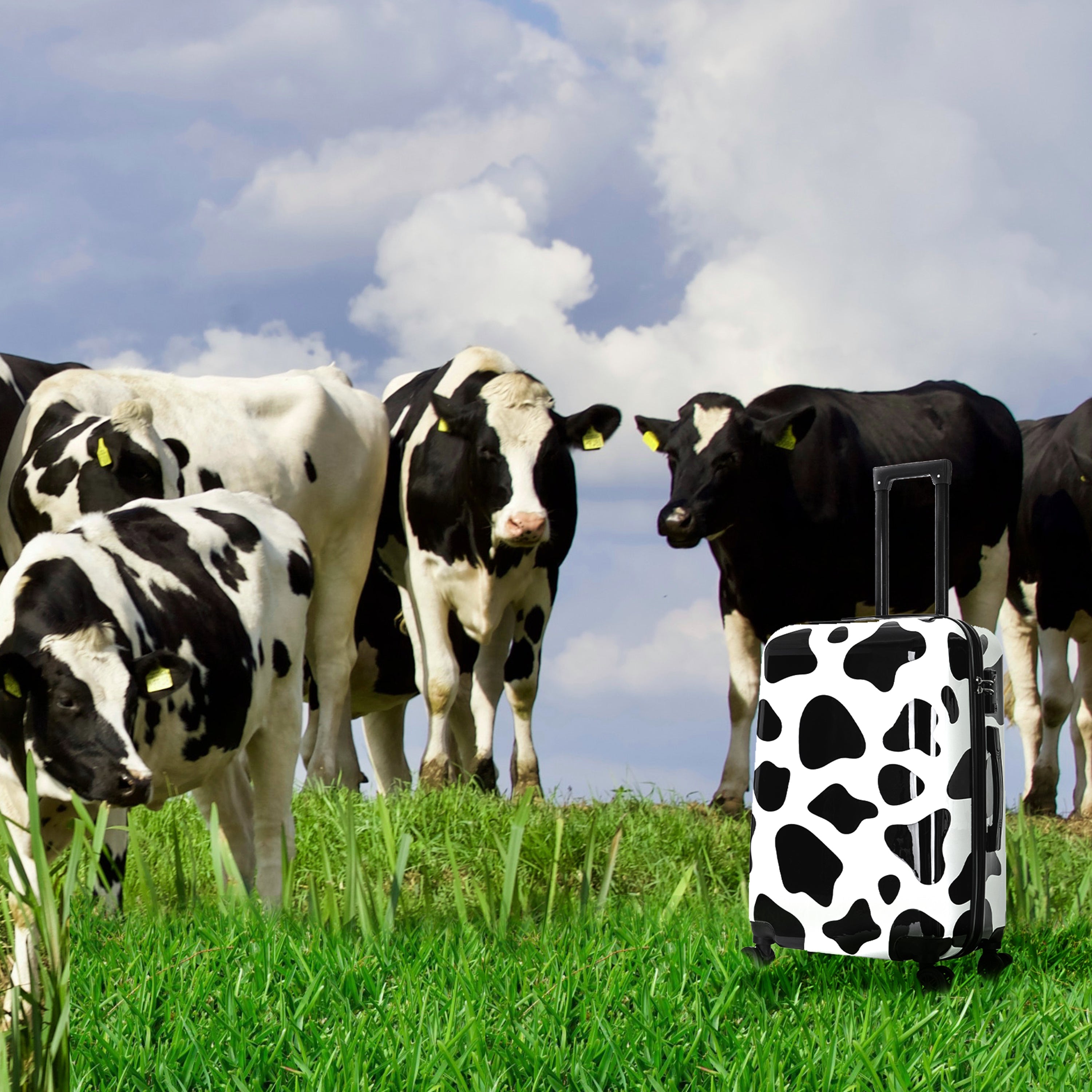 Cow-patterned suitcase on grass with cows in the background