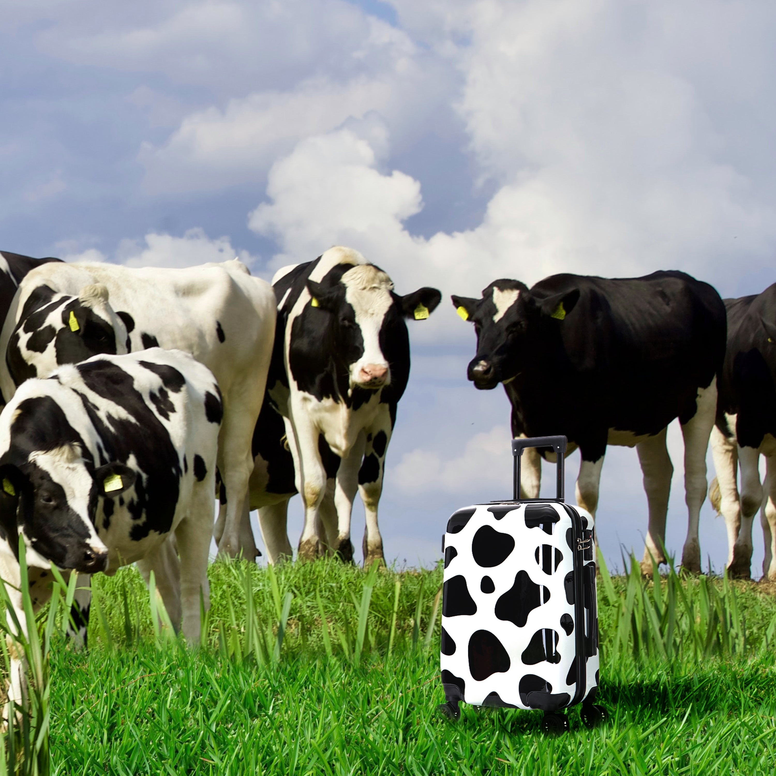 Cow-patterned suitcase on grass with cows in the background