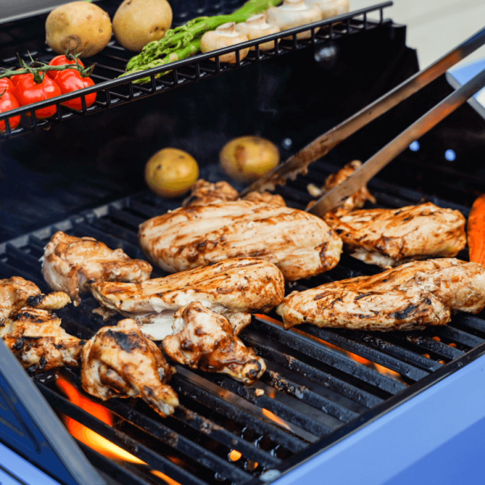 Mesa 200 - Matte Color Propane Gas Grill