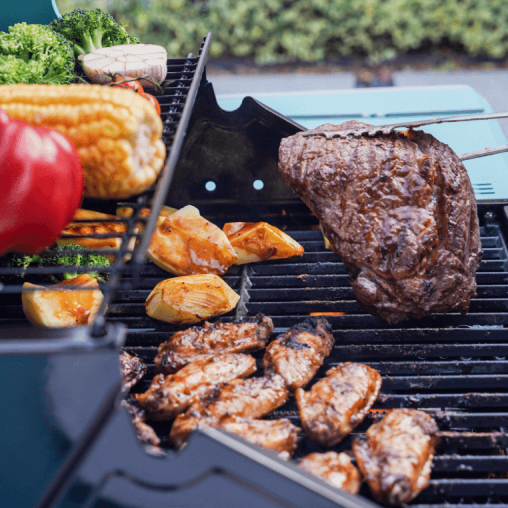 Mesa 200 - Matte Color Propane Gas Grill