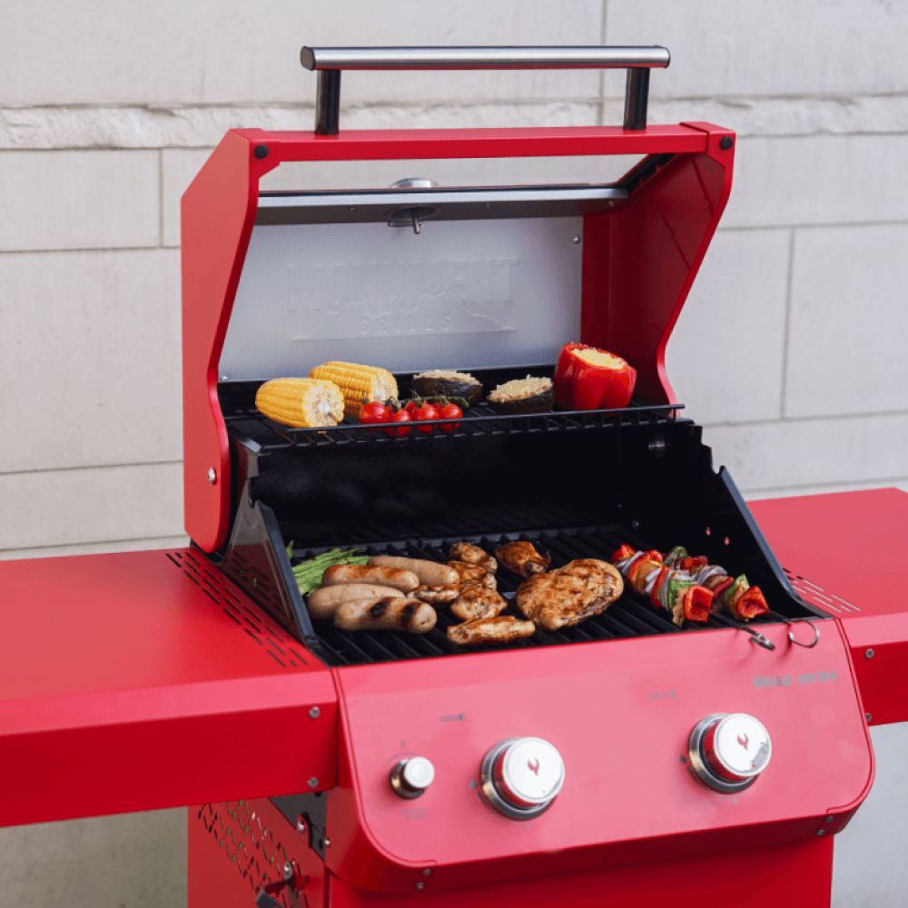 Mesa 200 - Matte Color Propane Gas Grill