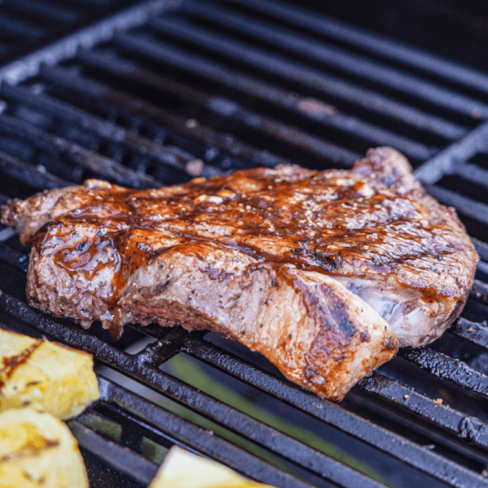 Mesa 305 - Stainless Propane Gas Grill