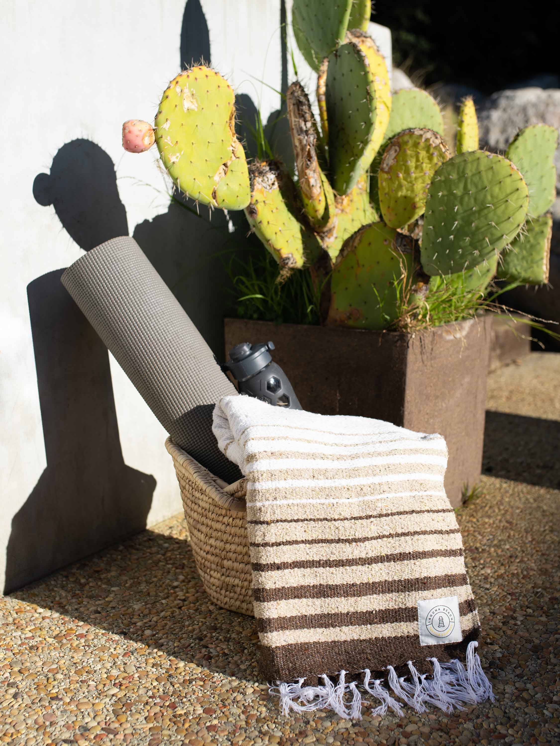 Cactus plant in a pot with a striped towel draped over a chair on a sandy surface.