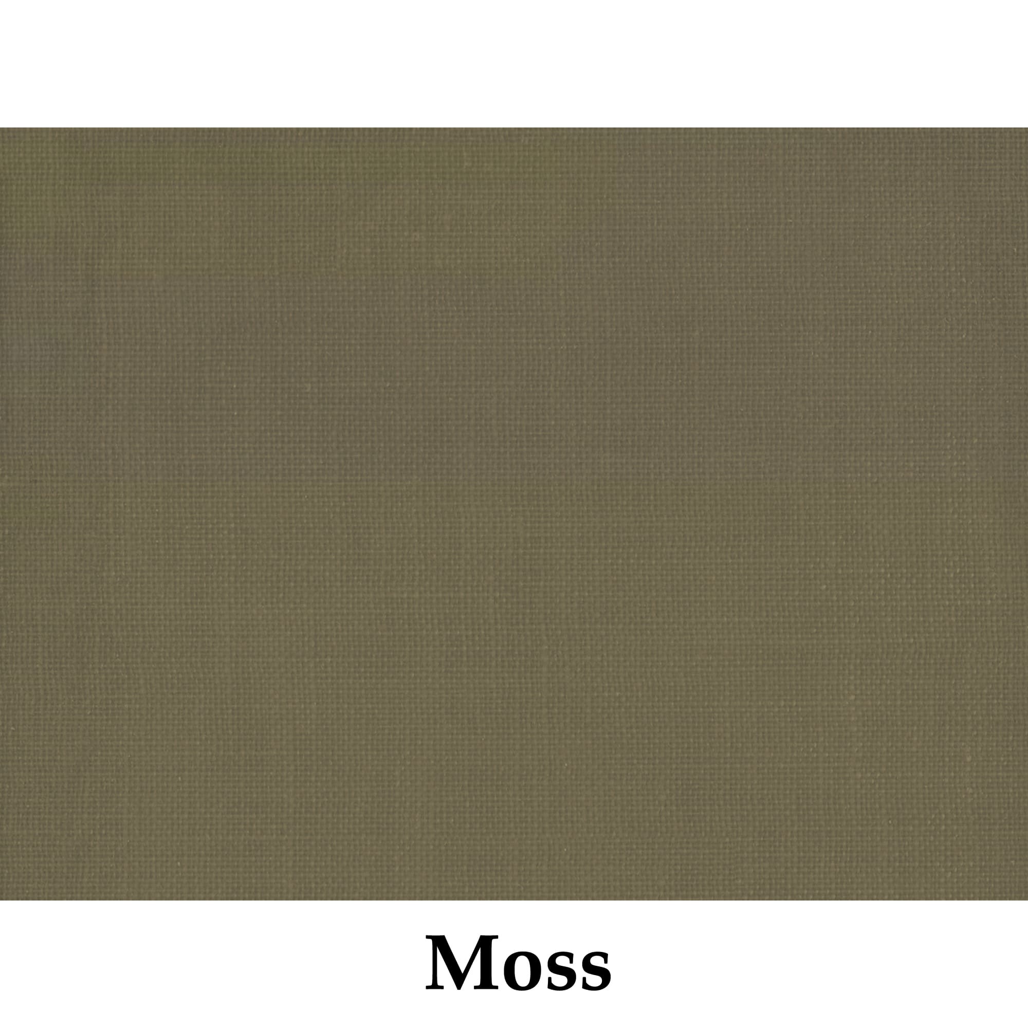 Moss green color swatch with the word 'Moss' below it on a white background