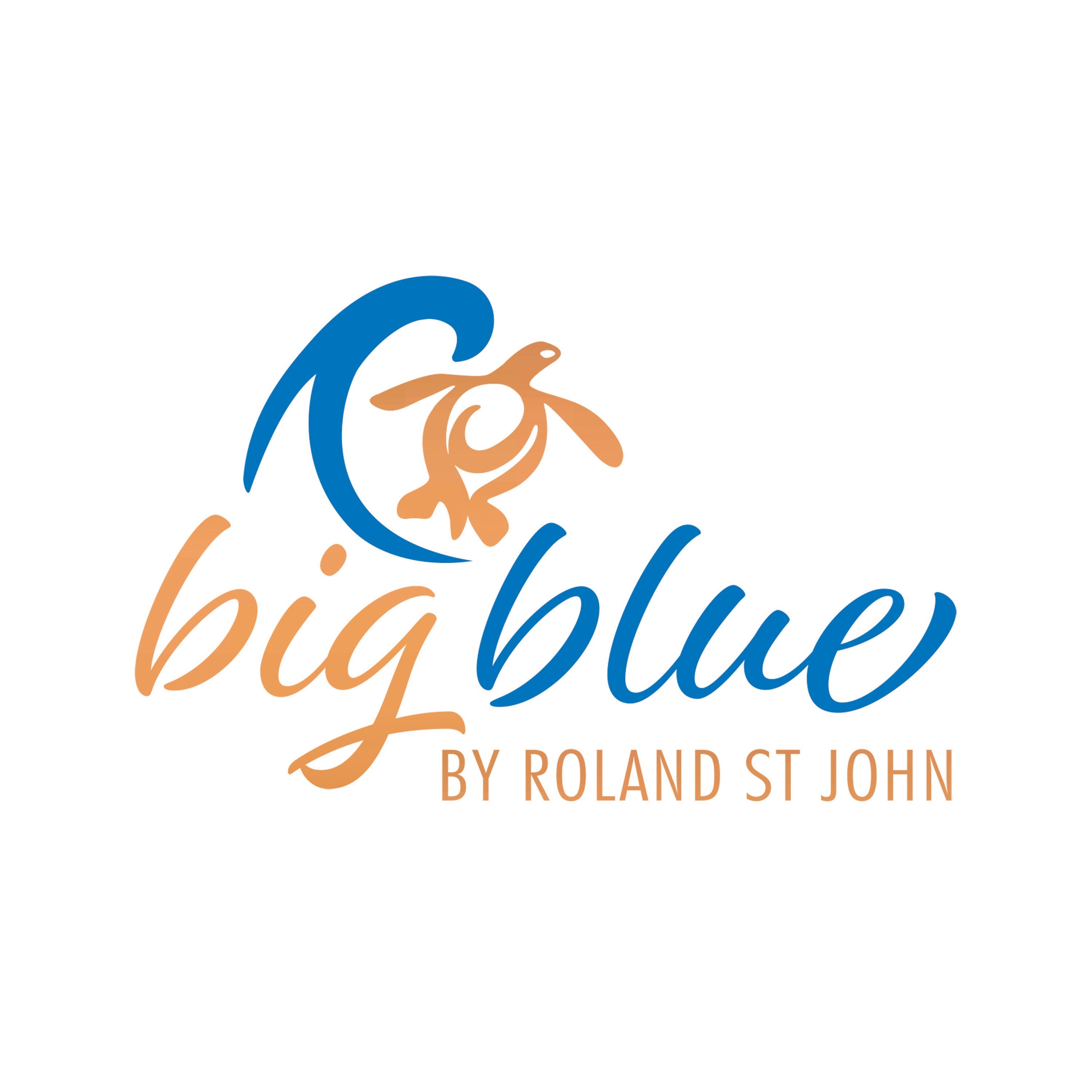 Logo of 'big blue by Roland St John' featuring a turtle and blue wave on a white background.