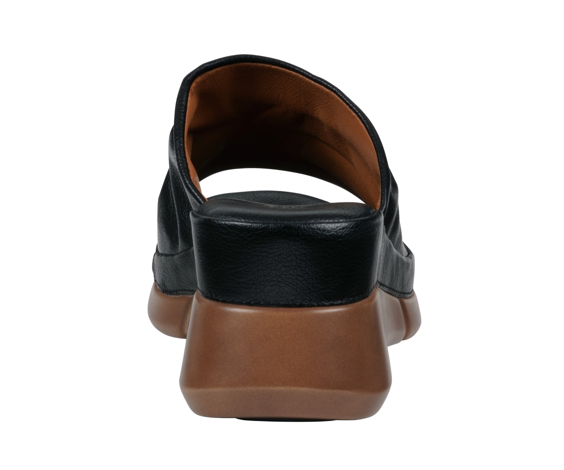 Black and brown sandal on a white background