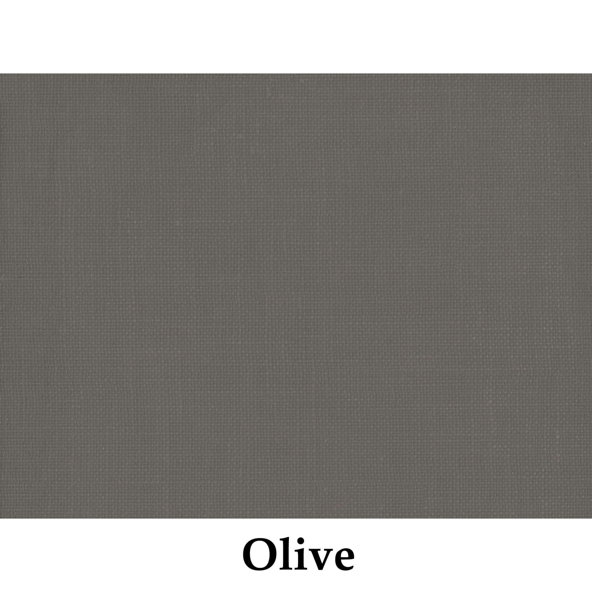 Solid olive green color swatch