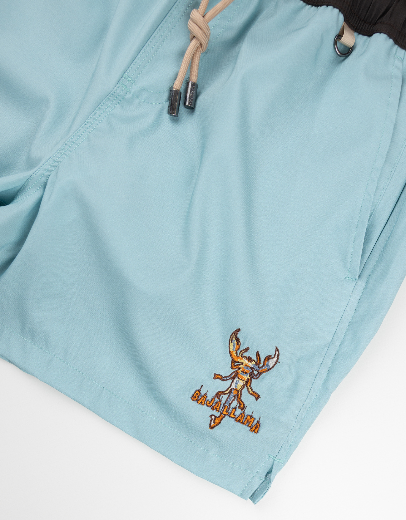 Light blue shorts with a embroidered design on a white background