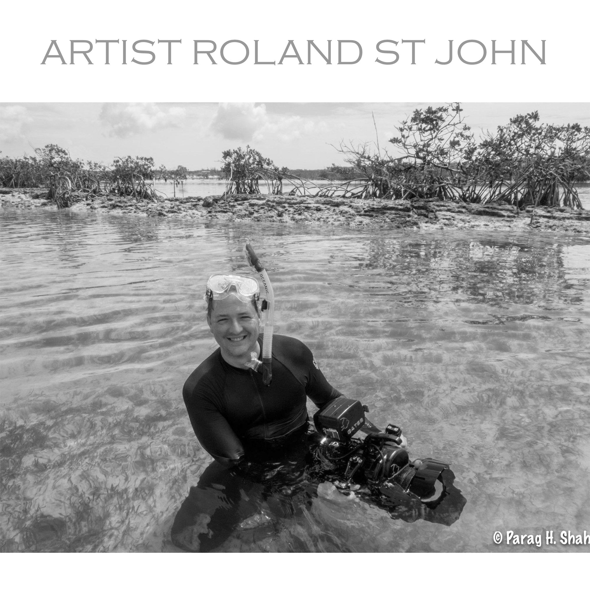 Person in a wetsuit with diving equipment in shallow water, surrounded by mangroves.