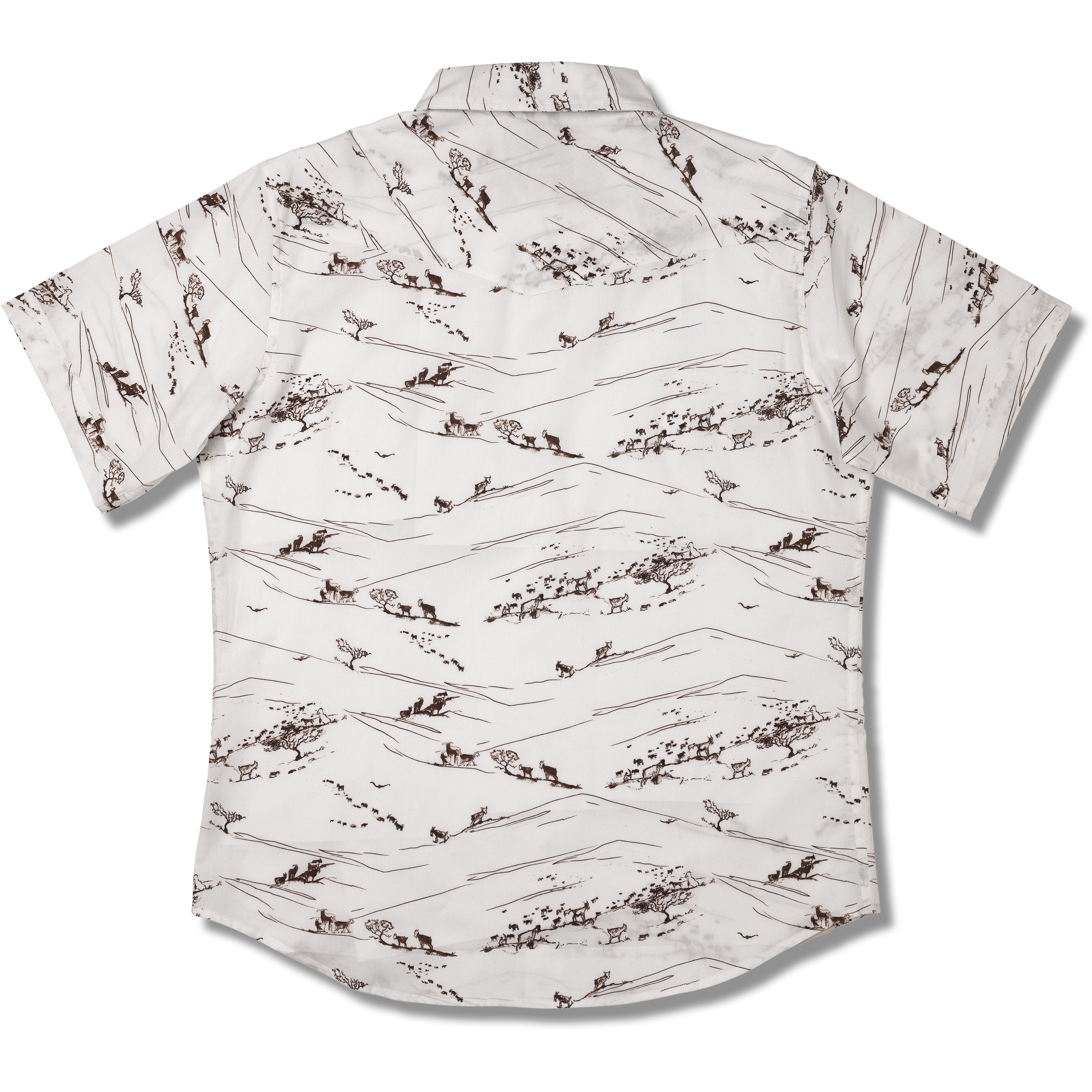 Short-sleeve shirt with a pattern on a white background