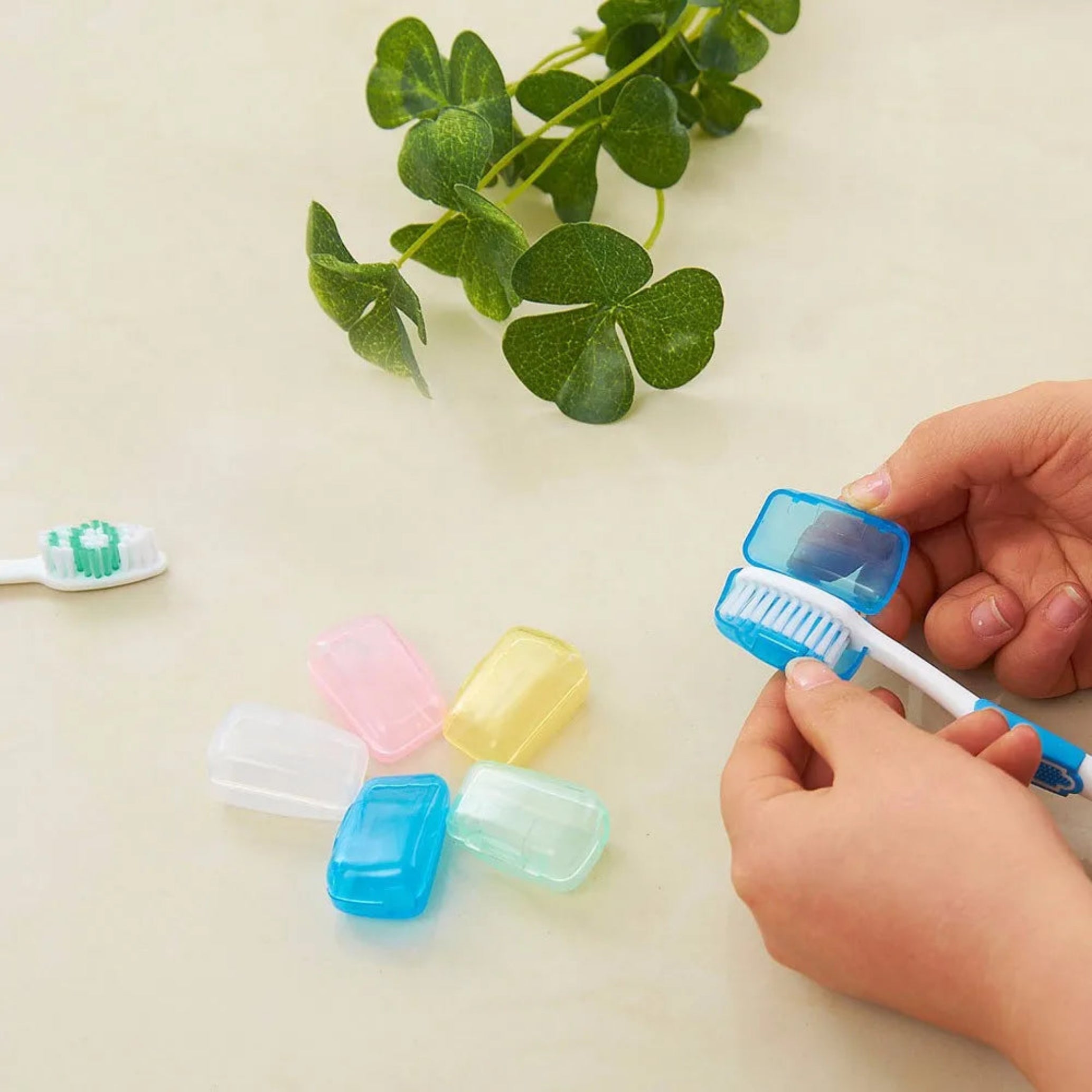 Portable Toothbrush Cover Holder Set