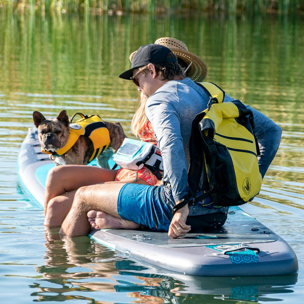 Two people and a dog on a paddleboard in a body of water.