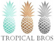 Three pineapples in turquoise, gold, and silver with 'Tropical Bros' text below.