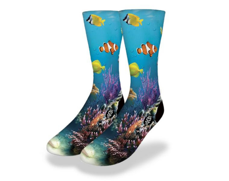 Coral Reef Fun Sea Life Socks