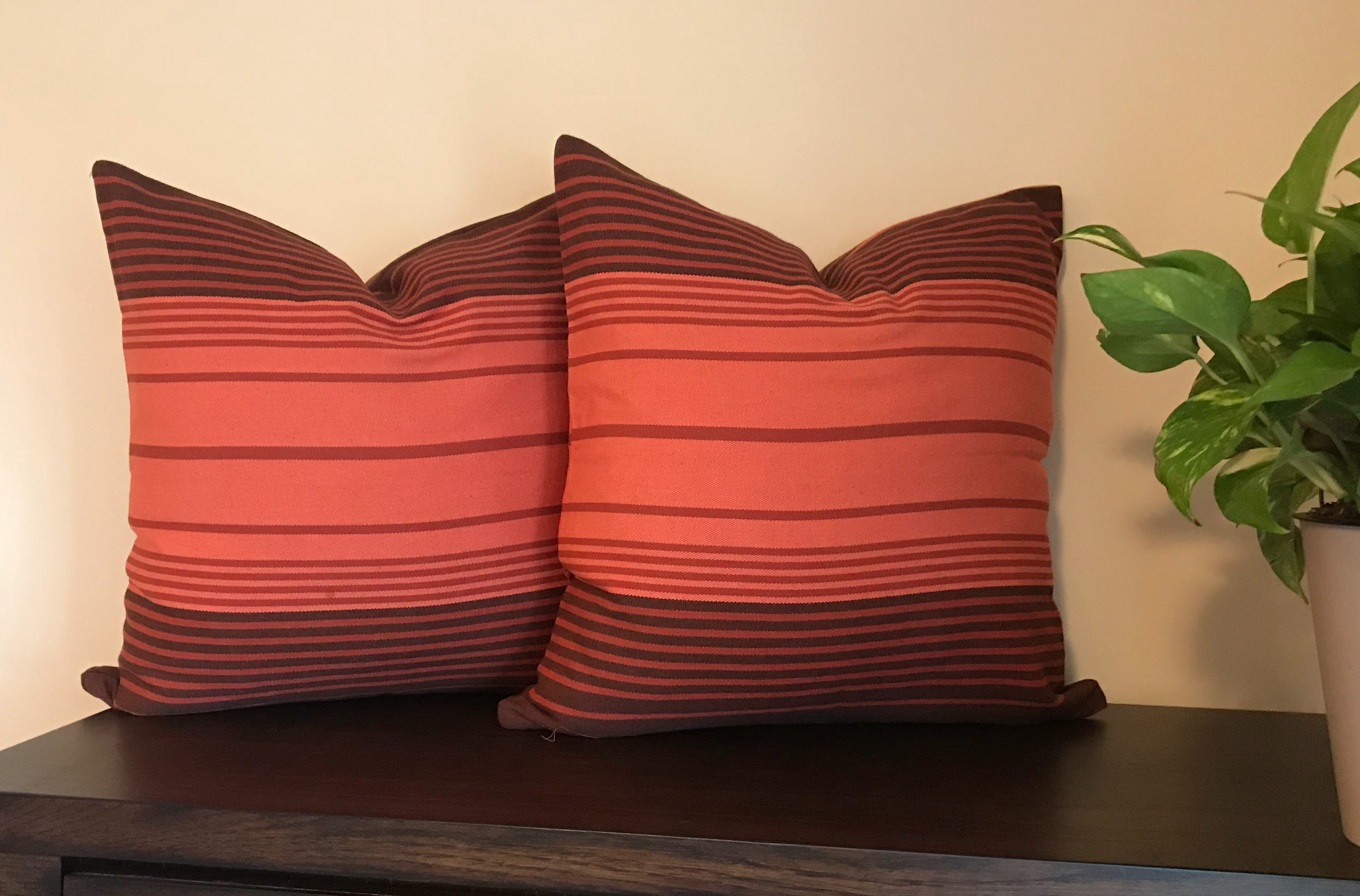 Two striped red and brown cushions on a wooden surface with a plant in the background.