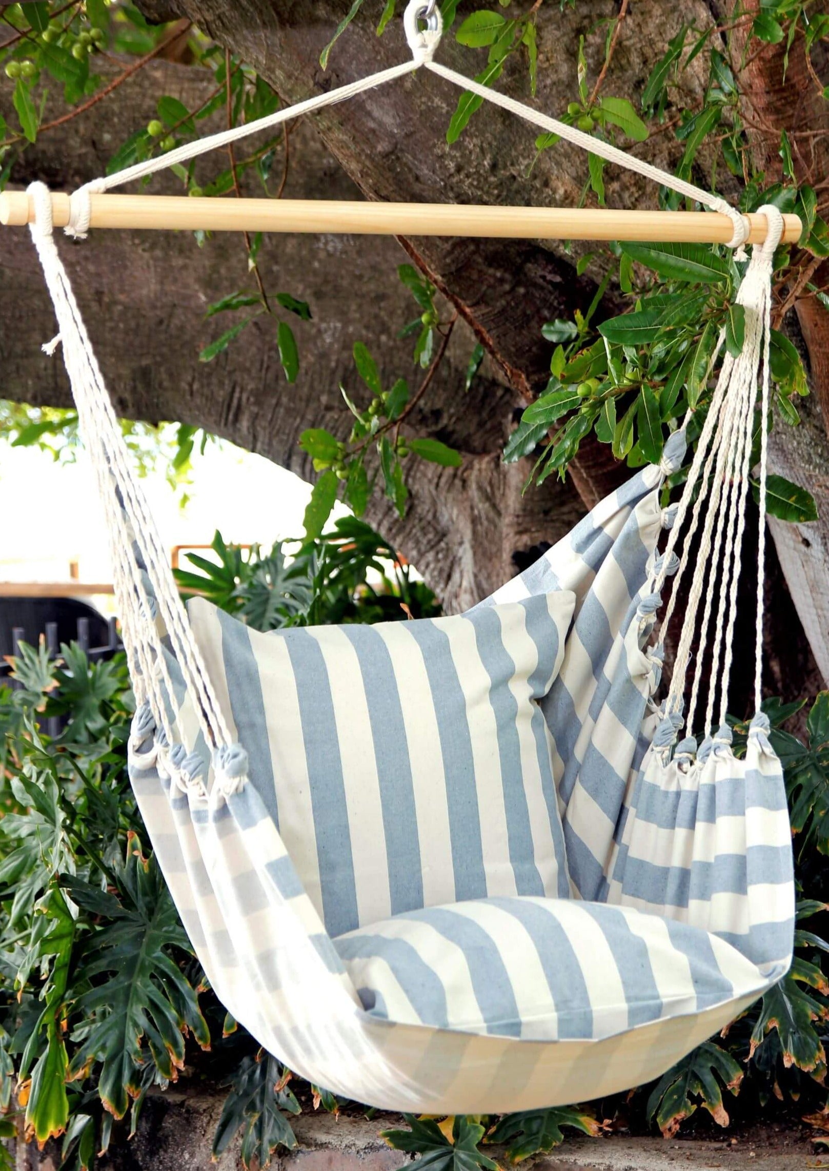 Striped hammock chair hanging from a tree with green foliage in the background