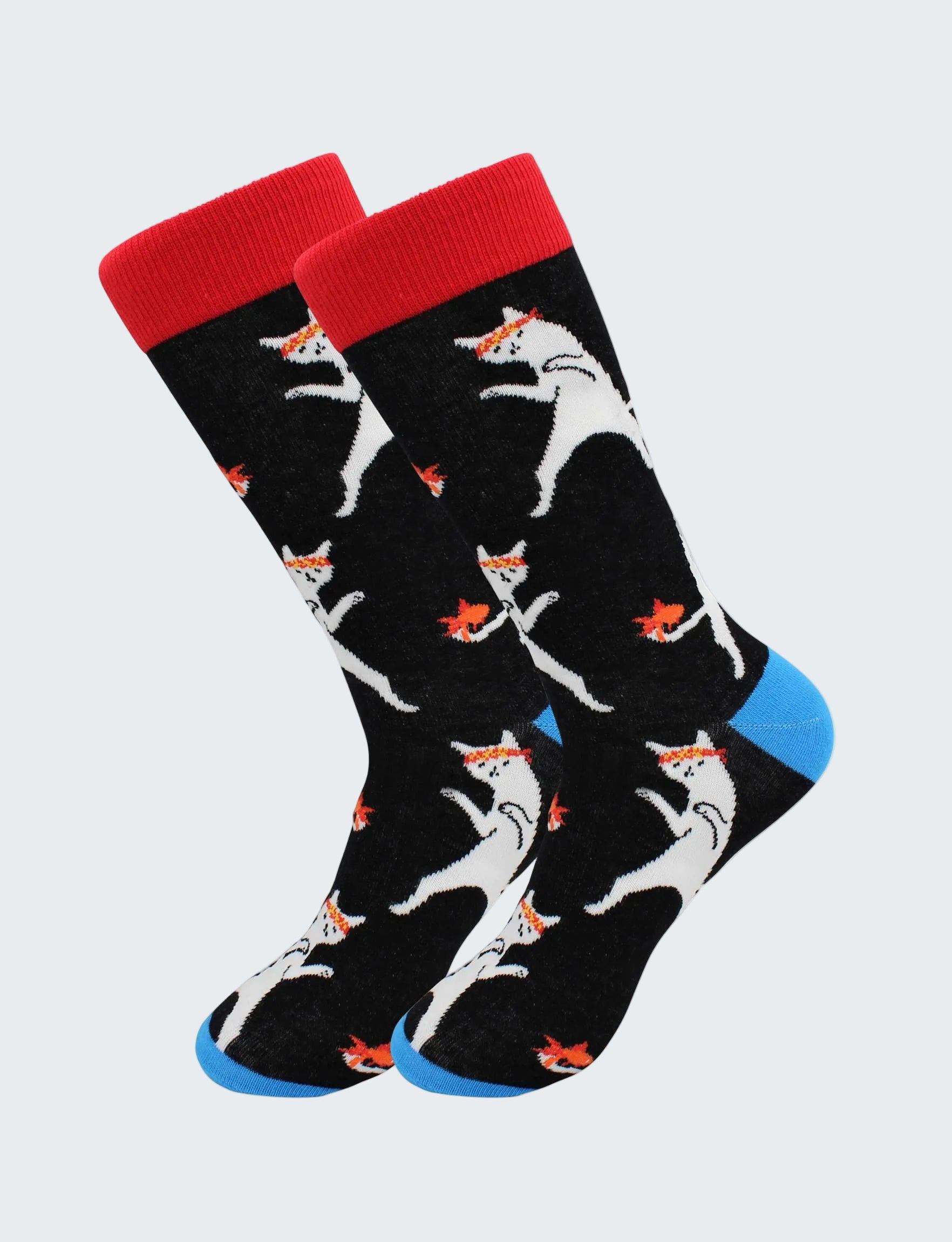 Pair of socks with fox pattern on a black background