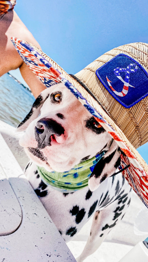 Dog wearing a straw hat with a colorful bandana at the beach
