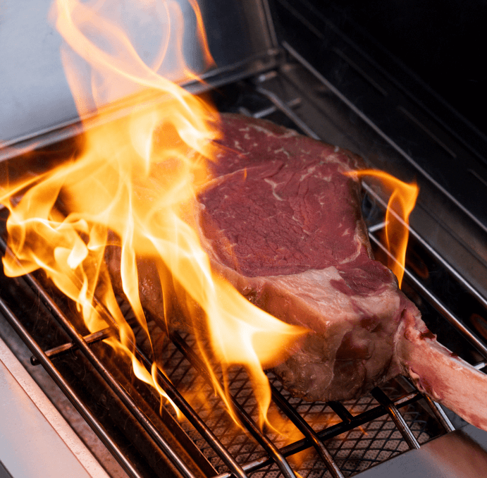 Eminence 605 - Advanced Stainless Natural/Propane Gas Grill