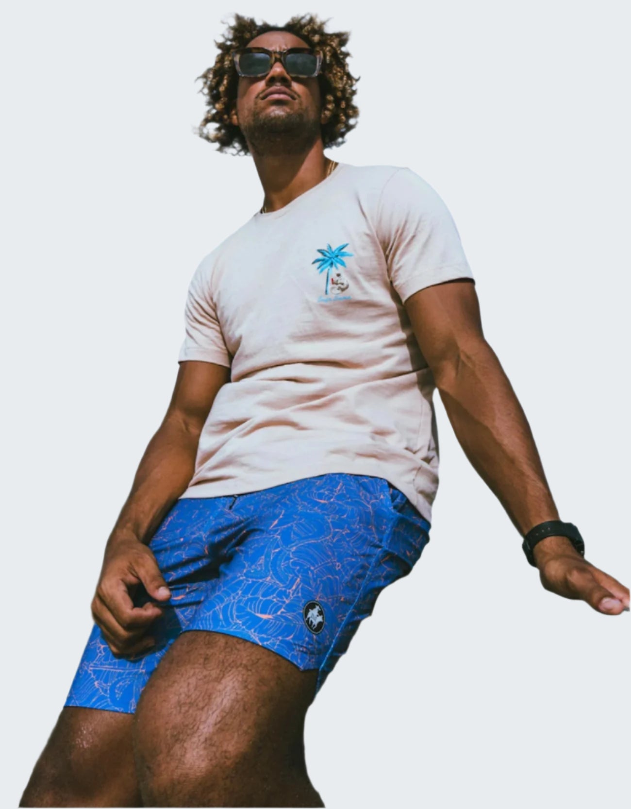 Fair Fight Blue Shipwrecks Boardshorts