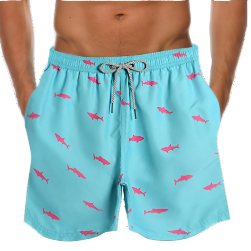 Casual Caribbean Beach Shorts