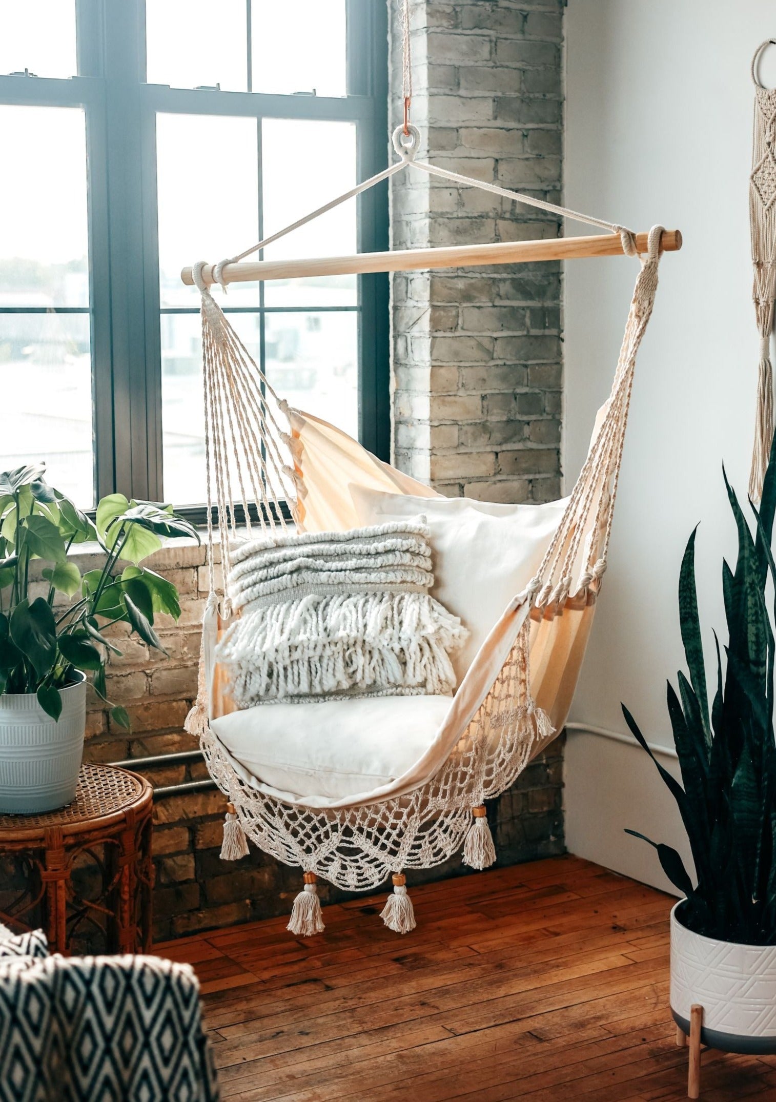 Hanging chair with cushions in a room with large windows and plants